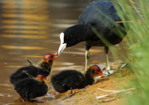 Как проявить заботу словами. Как она проявляется?