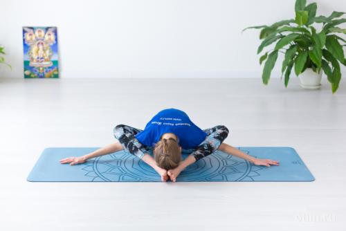 Боевая черепаха Поза. Поза черепахи