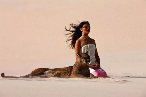 Сила в спокойствие. Сила спокойствия