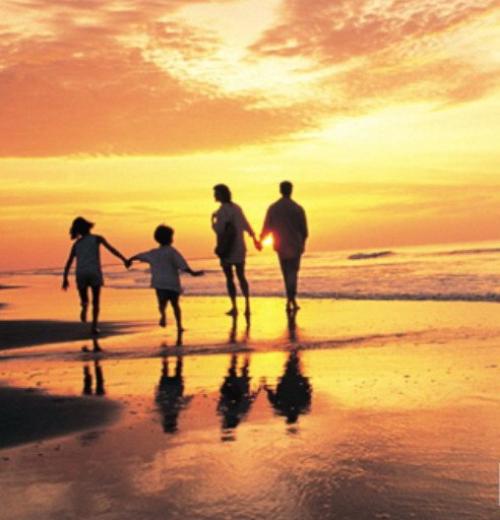 Ведическая Семья википедия. За что ругают ведический шаблон семьи?