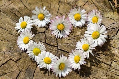 Как написать я тебя люблю. 15 романтичных способов сказать «Я тебя люблю»