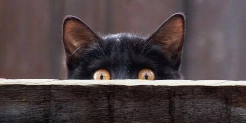 Почему нельзя спать ногами к двери и головой к окну. Суеверные народные приметы