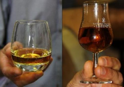 Мужская тема с кальвадосом не закусывая. Как правильно пить кальвадос – важные аспекты восприятия вкуса