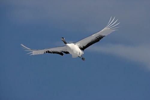 Что такое высокие вибрации у человека. Как повысить энергетические вибрации человека