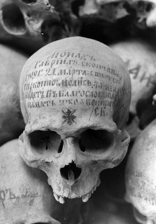 Как называется боязнь смерти. Особенности танатофобии 01