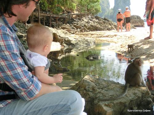 Я хочу жить у моря. До Филиппин рукой подать