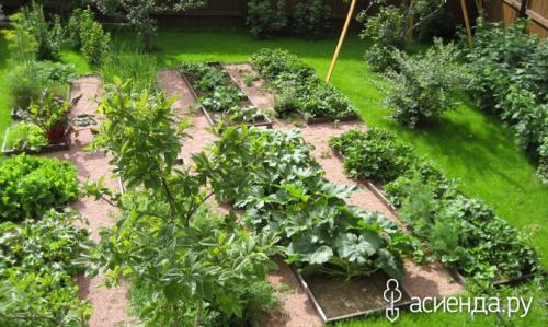Умные Советы для дачников и огородников. Оригинальные советы огороднику. Часть 1
