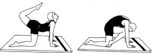 Поза Тигра. Вьяграсана (поза тигра)