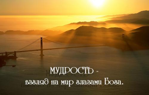 Умные Советы и мысли для жизни. Мудрые советы для жизни — зерно истины на все времена