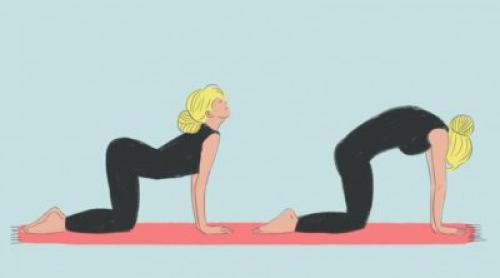 Поза кошки в йоге. Избавление от болей в спине и здоровый позвоночник: поза кошки в йоге или Марджариасана