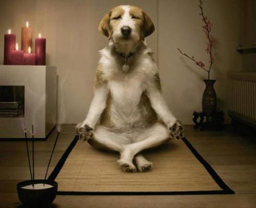 Визуализация желаний, как правильно материализовать мысли и желания. Как материализовать желание любой сложности благодаря любви и сосредоточенности?