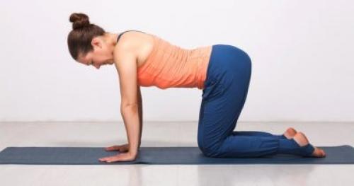 Поза кошки в йоге. Избавление от болей в спине и здоровый позвоночник: поза кошки в йоге или Марджариасана