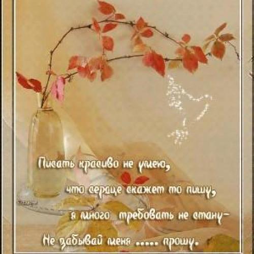 Грустные стихи про животных. Стихи о животных, стихи о братьях наших меньших, стихи про кошек и собак.