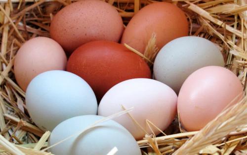 Как очистить ауру ребенка. Очистка ауры яйцом