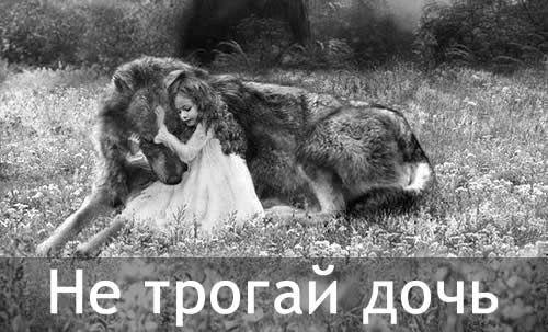 Стих про волка и человека. Он отомстил. Но отомстил без крови — стихи о волке и охотнике — Не трогай дочь