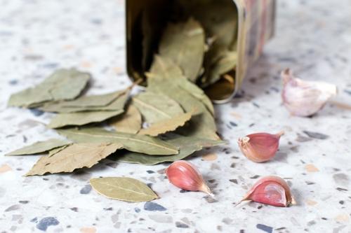 Как хранить орехи, чтобы не завелась моль. 