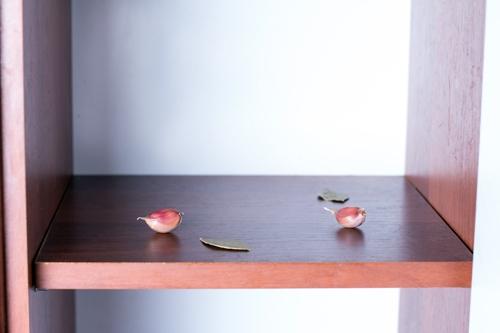 Как хранить орехи, чтобы не завелась моль. 