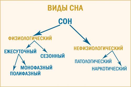 Как высыпаться за 4 часа в день. Методики, которые помогут выспаться за 4 часа