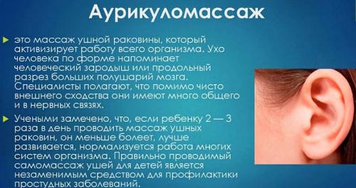 Точки на ухе отвечающие за органы лечение. Массаж ушей (массаж ушных раковин)
