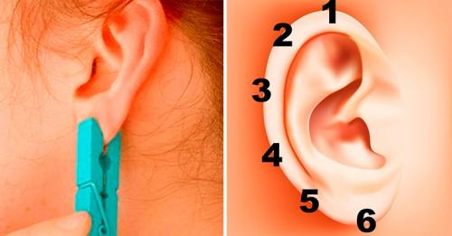 Точки на ухе отвечающие за органы 6 точек. Китайский метод: на 5 секунд зажмите эту точку на ухе