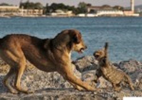 Как вынести мозг парню за 5 минут по смс. Как вынести мозг за 5 минут