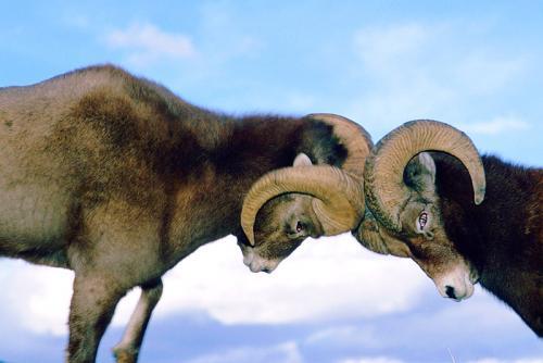 Ничего никому не доказывайте. Никому ничего не доказывайте. Никогда