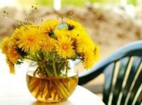 Книги помогающие выйти из депрессии и изменить свое мышление. 10 книг поднимающих настроение и выводящих из депрессии