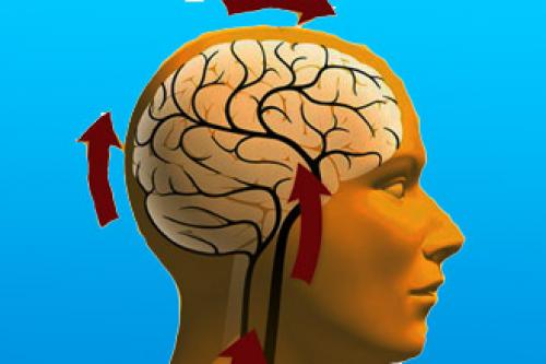 Нейроциркуляторная дистония по кардиальному типу, что это. Что такое кардиальная нейроциркуляторная дистония 01