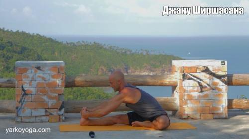 Паривритта Джану Ширшасана. Джану Ширшасана и Паривритта Джану Ширшасана.