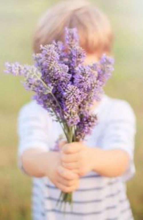 Какой цвет символизирует жизнь. Символика популярных цветов