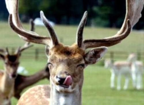 Как изменить отношение к ситуации которую не можешь изменить. Нет ничего проще, чем усложнить себе жизнь!