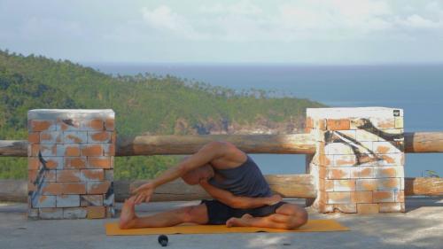 Паривритта Джану Ширшасана. Джану Ширшасана и Паривритта Джану Ширшасана.