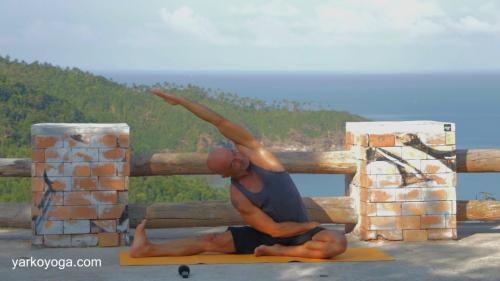 Паривритта Джану Ширшасана. Джану Ширшасана и Паривритта Джану Ширшасана.