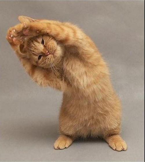 Понедельник?? Ура!! Понедельник!!!!