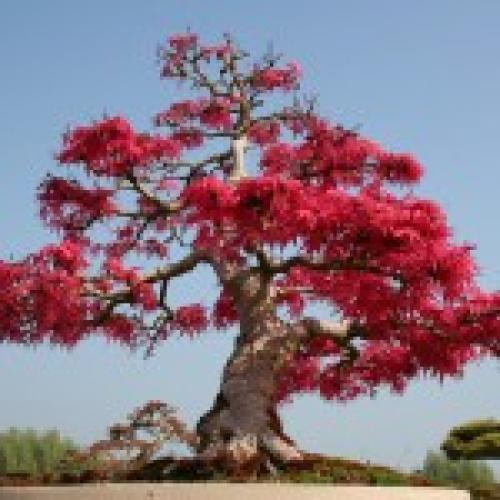 Как изменить себя и отношение к жизни. 10 секретов — как изменить отношение к жизни!