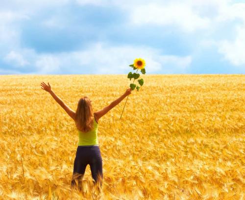 Дословный перевод ФЭН-ШУЙ. Что такое фен шуй на самом деле