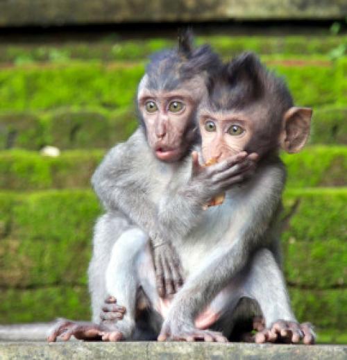 Как изменить отношение к ситуации которую не можешь изменить. Нет ничего проще, чем усложнить себе жизнь!