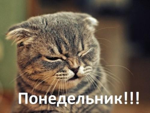 Понедельник урааа. Понедельник, день тяжелый: подборка статусов и цитат про понедельник