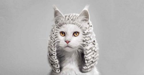 Как перестать накручивать себе плохие мысли. Как остановить плохие мысли и перестать себя накручивать?