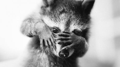 Умереть от страха возможно ли. Можно ли умереть от страха? 01