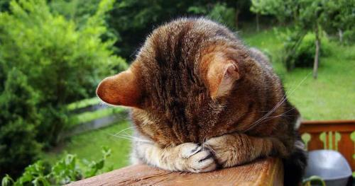 Страх социального осуждения. Как перестать бояться осуждения других людей: 4 способа