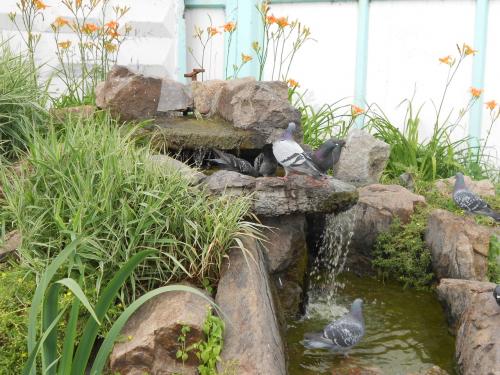 Как научиться быть уверенным в себе и всегда действовать уверенно?