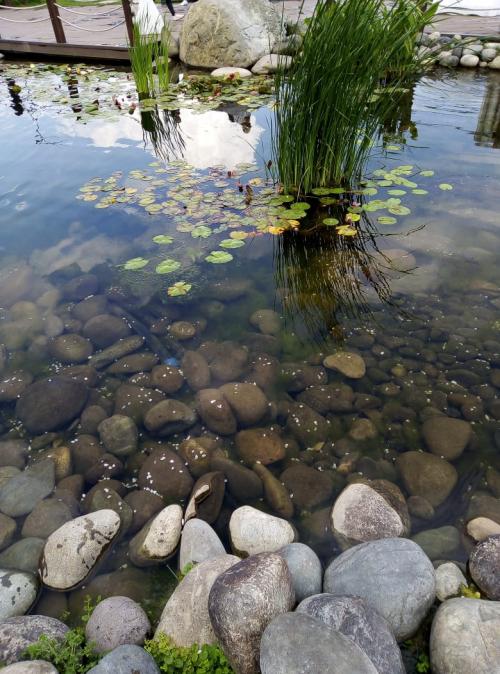Как научиться быть уверенным в себе и всегда действовать уверенно?