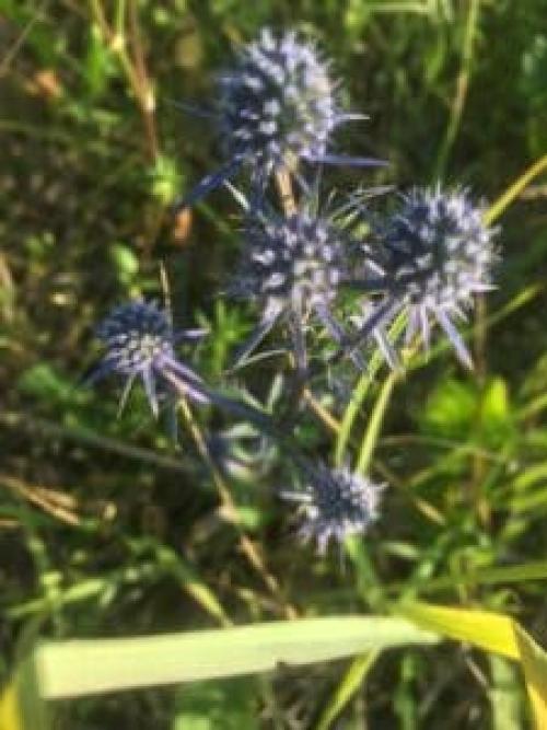 Почему человек боится людей. Свойства страха человека. Чего боимся мы