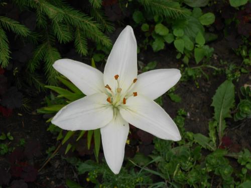 Как научиться быть уверенным в себе и всегда действовать уверенно?