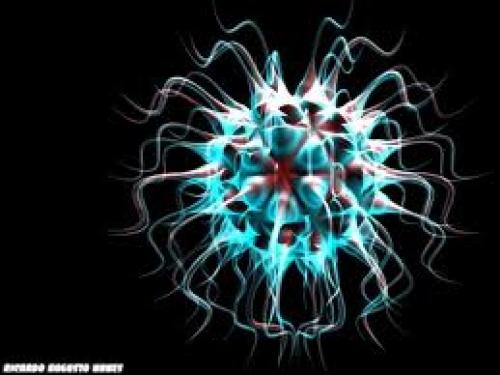 Откуда берутся вирусы болезней. Откуда же берутся новые вирусные инфекции?