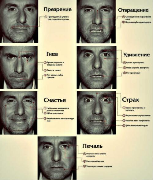 Жесты мимика и пантомимика это средства общения. Проявления чувств и эмоций посредством невербальных сигналов