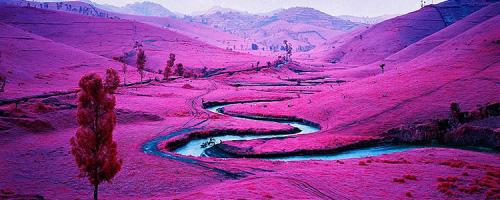 Пурпурный цвет в психологии