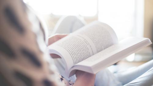 Книги которые помогут развить речь. 10 лучших книг, развивающих речь и словарный запас