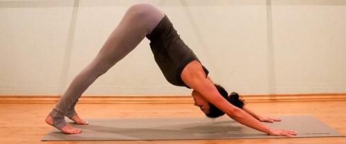 Поза собаки. Техника выполнения классического варианта (ФОТО)